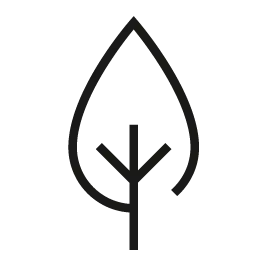 Цифровий нативний