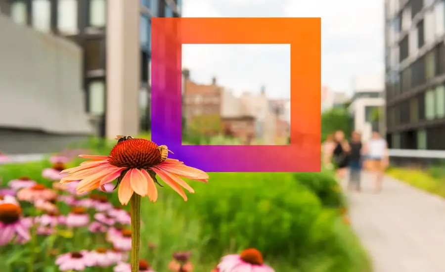 Екологічний вибір